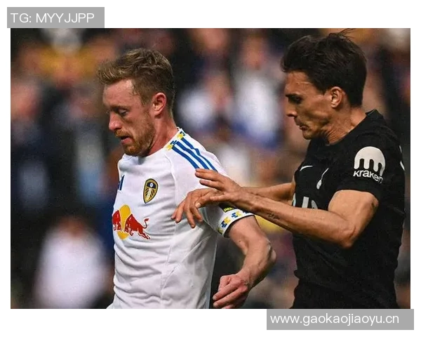 英媒透露本坦库尔将续约热刺同时球队有意买断帕利尼亚