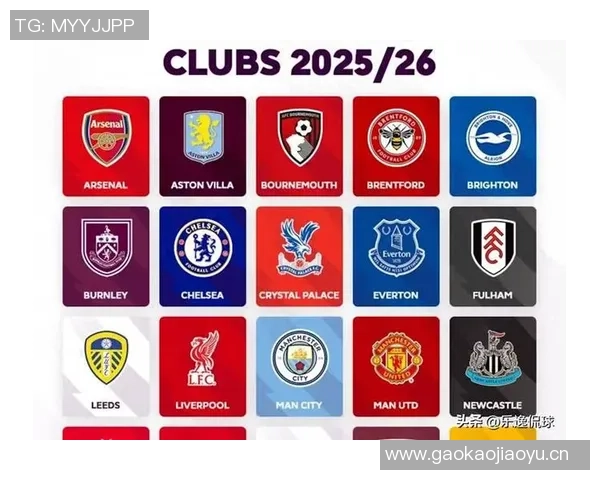 国米瞄准莱切20岁中卫加布里埃尔英超德甲球队同样表示关注